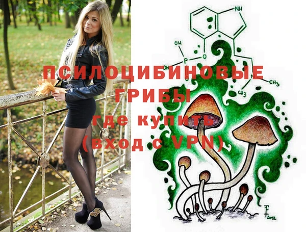 шишки Алзамай