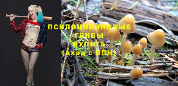 шишки Алзамай