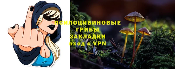 шишки Алзамай