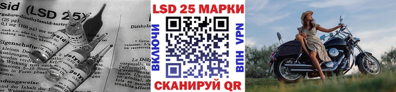 OMG как войти  Краснознаменск  Лсд 25 экстази кислота 