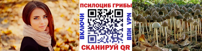 Галлюциногенные грибы мицелий  Краснознаменск 